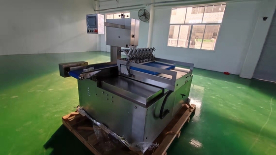 Industrial Electric Frozen Meat Cutting Machine 45M/scd Automatic Double Saw Cutter
