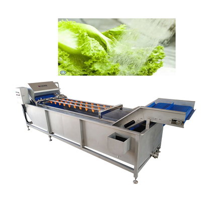Belt Type 2T/H Vegetable Fruit Washing Machine High Pressure Spray Washing Machine