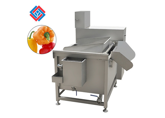250L Multi Functional Vegetable Cleaning Machine With Full Stainless Steel Washing Tank