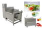 Industrial Salad Washer Machine Air Bubble Vegetable Mix Washing Line