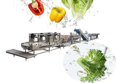 1000Kg / H Salata Makinesi Makinesi Dondurulmuş Sebze Bamya Dondurulmuş İşleme Hattı