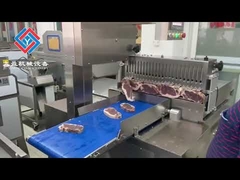 Factory Stainless Steel Bone Saw Frozen Meat Cutting Machine Large Capacity