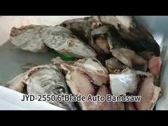 6 Bıçaklı Otomatik Dikey Şerit Testere Makinesi Dokunmatik Ekran Kontrollü Dondurulmuş Balık Kesme