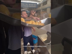 12 Kesme İstasyonları Merkezkaç Patates Chips Slice Kesme Makinesi Mükemmel sonuçlar ile